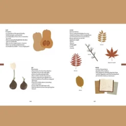 The Nature Of Play | Paperback Book 8 The Nature Of Play | Paperback Book -MILKTOOTH Sales Fanny Alexander The Nature of Play Book 2