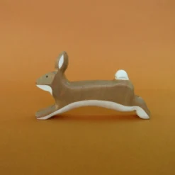 Forest Melody | Hare Or Rabbit Running