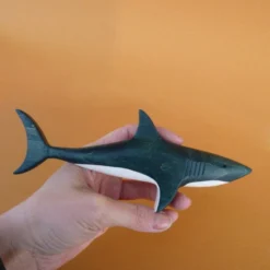 Forest Melody | Shark 12 Forest Melody | Shark -MILKTOOTH Sales Forest Melody Shark 5