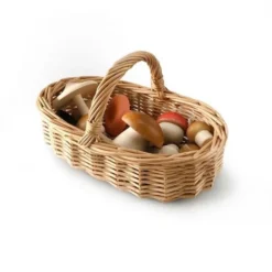 Moon Picnic | Forest Mushrooms Basket